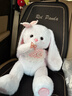 威尔通（WELTSTON）毛绒玩具布娃娃抱枕安抚玩偶儿童生日礼物女生 小白兔子公仔60cm 实拍图