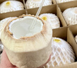 佳农 泰国进口椰青9粒装 单果900g+ 赠开椰器吸管 生鲜水果 源头直发 实拍图