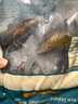 海鲜世家 新西兰熟冻原汁全壳青口贝净含量1kg 21-26只/袋 原装进口 海鲜 实拍图