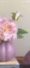 京东鲜花陶瓷小花瓶套装摆件客厅乔迁插花仿真花假花束桌面装饰干花器拍照 实拍图