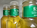 农夫山泉 东方树叶绿茶500ml*15瓶无糖茶饮料0糖0脂0卡整箱装解渴饮品 实拍图