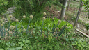 牧高笛（MOBIGARDEN）LINE FRIENDS联名 户外露营便携野餐垫 NX21663001 布朗熊蓝印花 实拍图