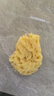 OKBABY天然海绵婴儿洗澡海绵宝宝洗澡沐浴球儿童成人洗脸搓澡蜂窝海绵 精选S级群岛型12#【儿童洗澡】 实拍图