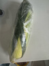 滇味十足（DIANWEISHIZU）水果玉米甜玉米云南金银双色新鲜甜嫩水果玉米棒鲜玉米茄果瓜 金银双色 精选大果7根 实拍图