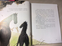 黑骏马（全新未删节插图精装版《黑骏马》！豆瓣2023年度译者李晖口碑译本！新增解读+98幅彩插！读经典名著，认准作家榜！）省钱卡  实拍图