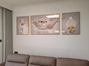 诗六艺家饰客厅装饰画北欧现代简约沙发背景墙挂画三联画大气轻奢壁画晶瓷画 羽鹿生辉（铝合金外框） 镶钻画左右60*80+中间120*80亮面 实拍图