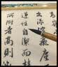 漢墨 汉墨特制进口环保墨汁 大瓶毛笔书法国画专用树脂胶墨液 文房四宝创作练习墨水 汉墨中浓【500g】 书法、写意、工笔 实拍图