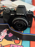 奥林巴斯（OLYMPUS）E-M10 MarkIV EM10四代 微单相机 数码相机 微单套机（14-42mm F3.5-5.6）2030万像素 黑色 实拍图