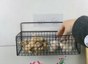 伊思家置物架厨房葱姜蒜壁挂调料小蔬菜各种收纳神器墙上沥水篮子免打孔 黑色单层中号带挂钩 实拍图