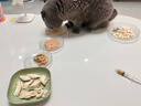 坦克小希猫湿粮全价主食餐包猫咪汤包补水鲜羊乳鸽肉餐盒猫罐头40g*9包 实拍图