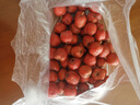 涑淇源鲜山楂山楂果大金星大五棱山楂鲜摘现发新鲜山楂 大五棱山楂2斤装 实拍图