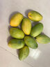 三亚芒果  海南芒果新鲜水果生鲜整箱当季大青皮芒 热带孕妇芒果 10斤装(净果8.5-9斤)单果200克起 实拍图