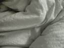 无印良品A类100%新疆纯棉花被子 冬季加厚被芯空调被棉被 厚8斤 200*230cm 实拍图