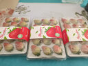樱鲜JD顺丰多地次日达非丹东99牛奶红颜奶油酸甜云南草莓新鲜水果年货 3盒 甄选果【45枚】单果18-26g 实拍图