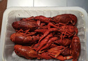 赴鲜记熟醉小龙虾700克花雕醉小龙虾6-8钱 净虾1斤 冰镇即食醉虾熟食 实拍图