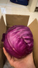 【特惠蔬菜】新鲜紫甘蓝卷心菜紫色包菜红椰菜紫球生菜即食沙拉菜 热卖【3斤】新鲜农家菜 新鲜发出 人工精选 实拍图