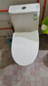 九牧（JOMOO）11173-2-1/31KD-3大力神家用马桶虹吸抗菌节水洁具305坑距 实拍图