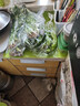 带根香菜100g 实拍图