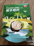 春光食品 海南特产 椰子脆片360g 椰子肉水果干办公室休闲零食60g*6袋 实拍图