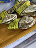 老蟹将 鲜活乳山生蚝 生态水域现捞牡蛎特大刺身级品质烧烤食材年货送礼 6XL 10斤(包活到家) 实拍图