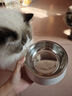 HELLOJOY不锈钢宠物食盆狗碗猫狗碗食盆水粮两用宠物碗喂食器 白色 实拍图