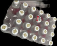 依能 西柚味 无糖无汽弱碱苏打水饮料 500ml*24瓶 塑膜装 饮用水 实拍图