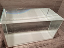 森森 超白玻璃小型热弯水草鱼缸HRK-600套缸+过滤器+水草灯 实拍图