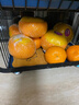 京鲜生 爱媛果冻橙 6斤 单果180g起生鲜水果桔子礼盒 实拍图