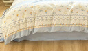 洁丽雅7A抗菌100%纯棉四件套新疆棉床上用品被套200*230cm1.5/1.8米床乐章 实拍图