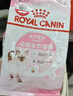 皇家幼猫奶糕 幼猫猫粮 BK34 通用粮 1-4月 2KG 实拍图