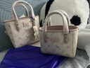纽芝兰（NUCELLE）沈月同款飞马小托特包2025新款菜篮子手提通勤女生包包生日礼物 实拍图