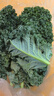 羽衣甘蓝新鲜生鲜蔬菜嫩叶甘兰芥蓝西餐沙拉榨汁减肥减脂 羽衣甘蓝分享4斤装 实拍图