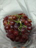 京愿【顺丰速运】山西克伦生红提新鲜脆甜提子克瑞森葡萄新鲜水果生鲜 【份大量足】精选净重5斤装 实拍图
