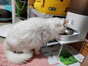 霍曼（Homerun）Real智能自动喂食器猫粮狗粮定时猫咪自动投食机（不锈钢碗） 实拍图