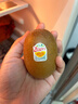 佳沛（zespri）新西兰 阳光金奇异果12粒礼盒特大果单果约122-146g 猕猴桃 水果 实拍图