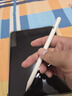 苹果Apple Pencil 一代/二代 苹果手写笔二手苹果手写笔/电容笔/触控笔二手平板电脑配件 苹果Pencil 二代手写笔 单笔【99新】 实拍图