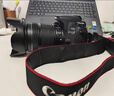 佳能（Canon）EOS 750D 760D 800D 850D 77D 二手单反相机高清数码照相机 99新 77D 单机身 标配【无内存卡等配件，套餐更划算】 99新 实拍图