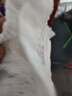 名典泰迪纸尿裤NB码66片【1-3kg】 新生婴儿尿不湿超薄透气干爽尿裤 实拍图
