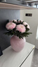 京东鲜花粉色花瓶玻璃摆件客厅插花琉璃轻奢高级感小众设计感水培装饰乔迁 实拍图