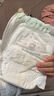 babycare金山茶花婴儿拉拉裤试用装XL码3片(12-17kg)尿不湿【新老混发】 实拍图