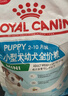 皇家狗粮 幼犬狗粮 宠物 小型犬 MIJ31 全价犬粮 2-10月 2KG 实拍图