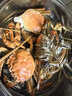 【活蟹】湖塘煙雨 阳澄湖大闸蟹全母蟹3.5两8只鲜活螃蟹海鲜礼盒现货河蟹生鲜水产 实拍图