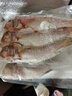 潮海堂马头鱼三去深海冷冻海鲜水产新鲜马面鱼方头鱼斧头鱼鲜端午节礼盒 三去马头鱼 3袋三去马头鱼1200克9-12条 实拍图