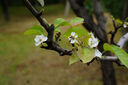 适马（SIGMA）56mm F1.4 DC DN｜Contemporary 半画幅大光圈定焦镜头 人像特写（适马56 f1.4索尼E卡口） 实拍图
