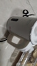 南极人便携式烧水壶小型电热水壶烧水家用旅行迷你小功率办公室宿舍学生酒店保温恒温水壶 星光白0.8L 0.8L 实拍图