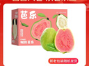 京鲜生 红心珍珠芭乐 番石榴 净重3斤 单果150g+ 生鲜水果中秋礼盒 实拍图