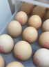德青源无抗富硒鲜鸡蛋30枚3斤 鸡蛋京东自营礼盒装 营养早餐礼盒装 实拍图