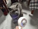 HELLOJOY宠物猫毛梳喷雾按摩梳去浮毛开结撸猫针梳猫咪梳毛专用神器猫梳子 实拍图