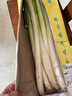 田良季正宗山东章丘大葱【顺丰速运】高白脆甜新鲜水果蔬菜葱特产送礼品 净重9斤| 精选净葱0.8米丨更脆甜 顺丰礼盒装【脆甜丨去皮去半叶】 实拍图