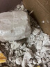 帕卡洛恐龙化石考古挖掘玩具二年级科学石膏骨架模型套装3-6岁8生日礼物 恐龙套餐A【霸王龙+棘龙+雷龙+三角龙】 实拍图